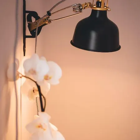 Studio Apartman In شقة *